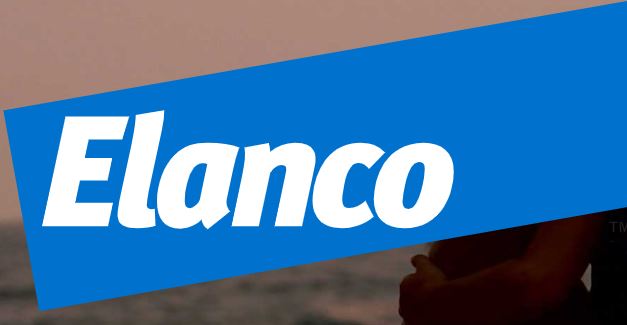 Elanco legt 7,6 miljard dollar op tafel voor diergeneesmiddelentak Bayer