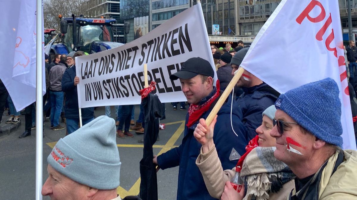 (+) Bij vernietiging stikstofdecreet moet tijdelijk vangnet rechtszekerheid bieden