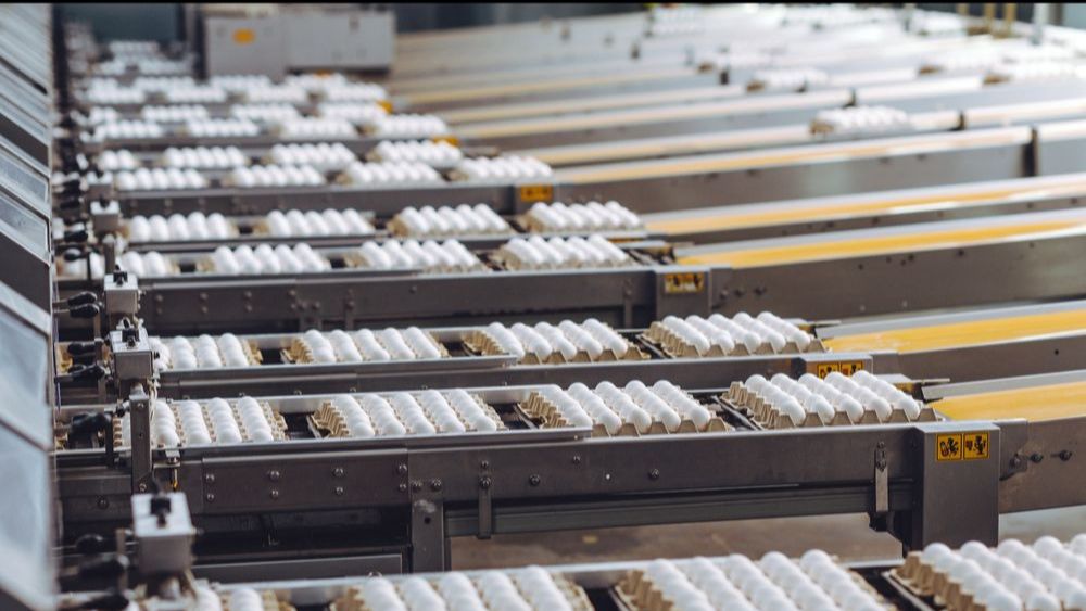 (+) Braziliaanse eierexport in 2025 meer dan verdubbeld	