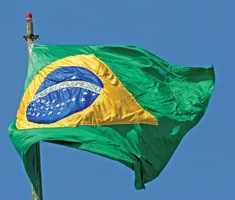 Braziliaanse kippenvleesexport bereikt recordomzet ondanks vogelgriep