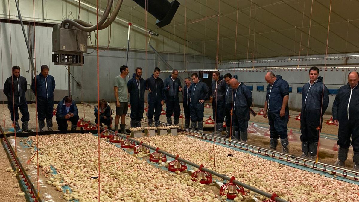 Commissie landbouw en dierenwelzijn staan met hun voeten in het veld tijdens pluimveetour van de Landsbond Pluimvee	