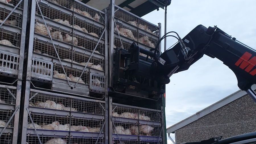 (+) Deur voor flexi-jobs in de landbouwsector blijft gesloten