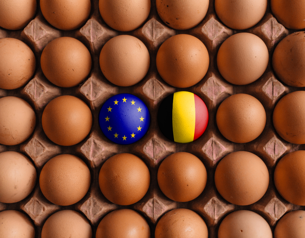 Geen verzilvering van Europese eierexportstijging