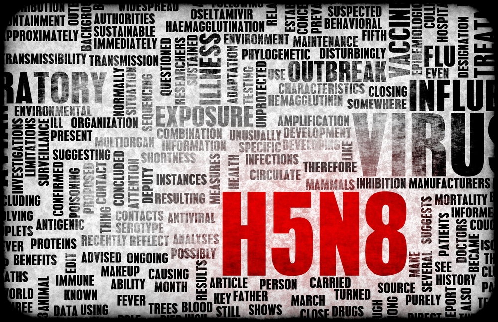H5N8-vogelgriep duikt opnieuw op in Rusland 