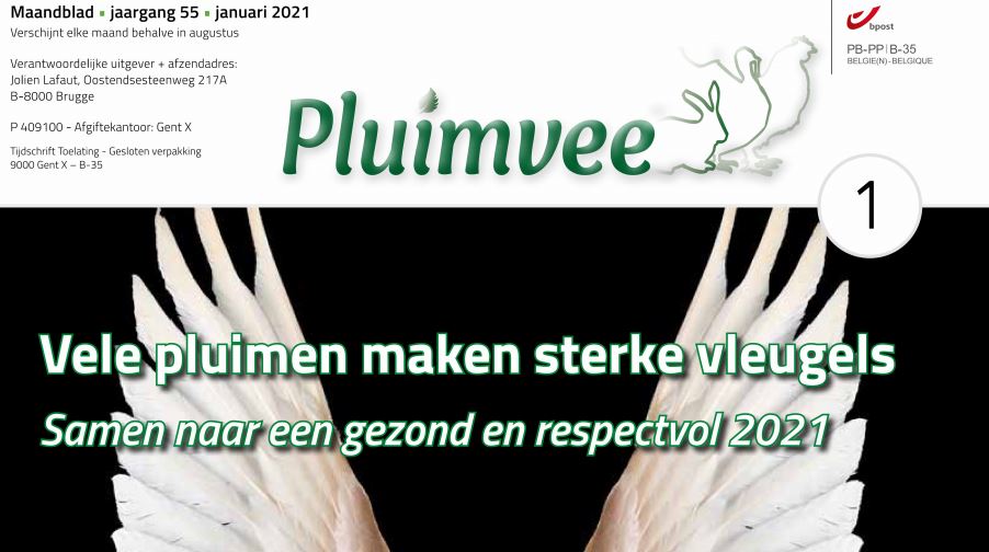 Inhoud komend  JANUARI nummer Pluimvee 