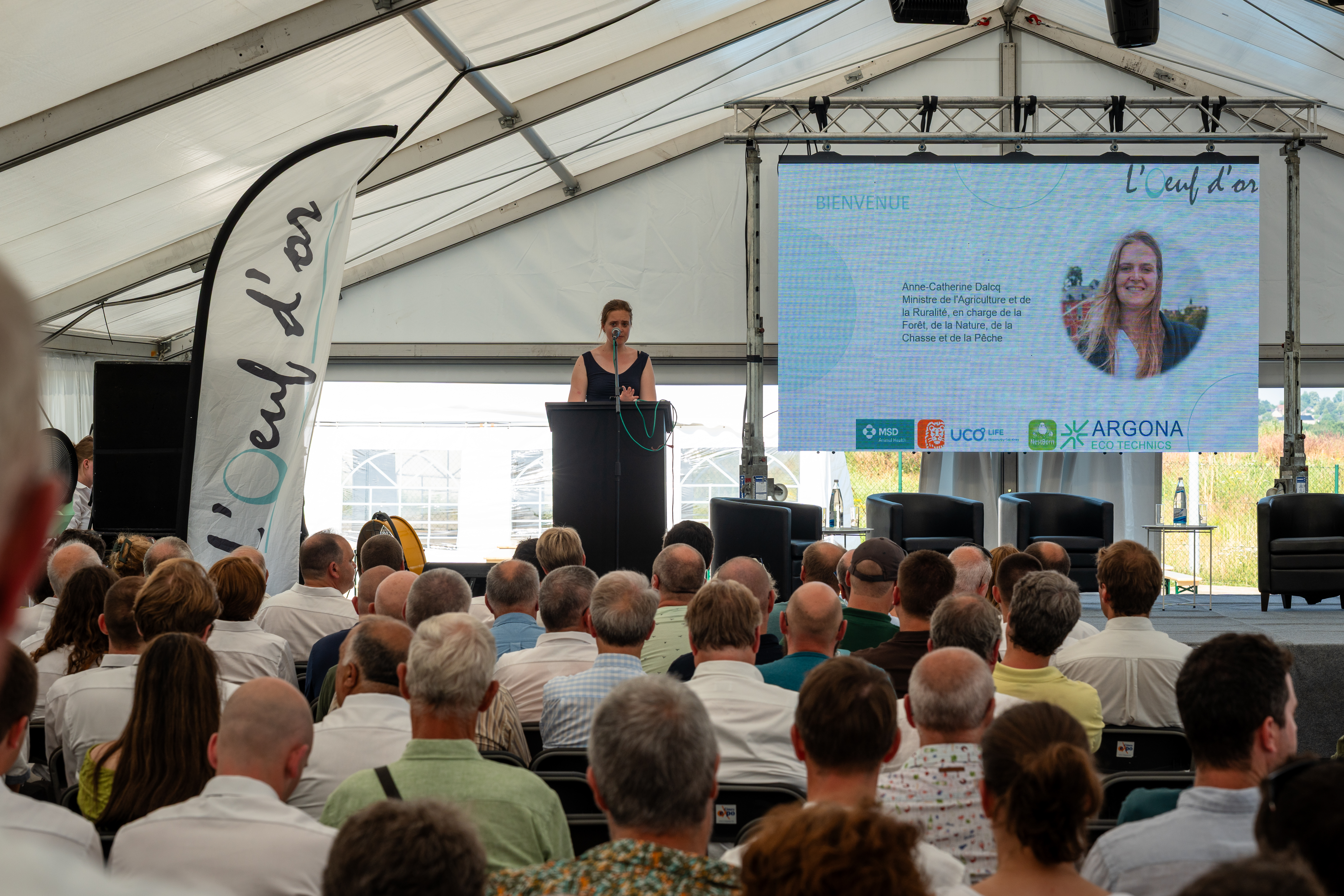Meer dan broeden: bouwen aan de pluimveesector van morgen