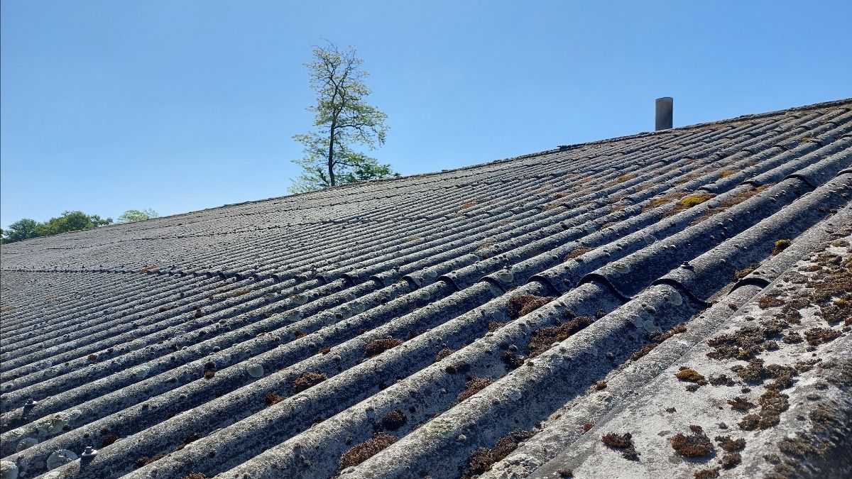 (+) Minister Brouns lanceert 6de campagne voor asbestinzameling op landbouwbedrijven