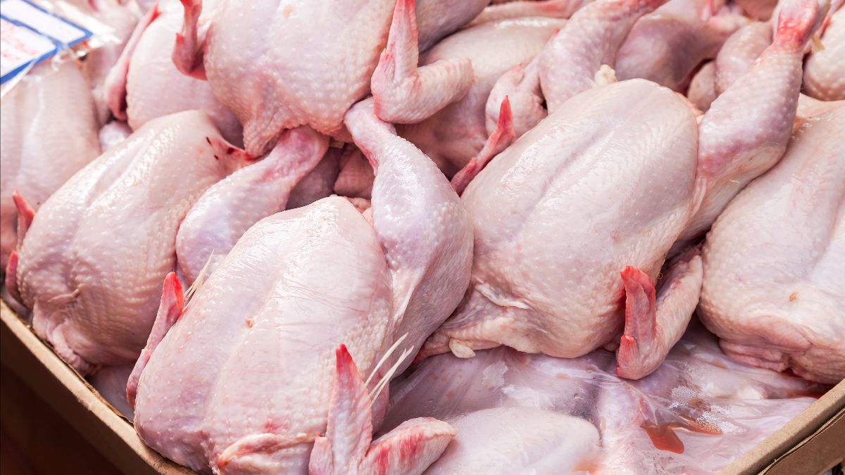 Nieuw handelsakkoord Oekraïne houdt rekening met gevoelige producten zoals pluimveevlees en eieren