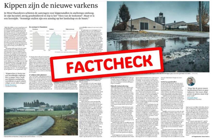 Onjuiste berichtgeving over “kippenrush” zet pluimveesector onterecht in een slecht daglicht