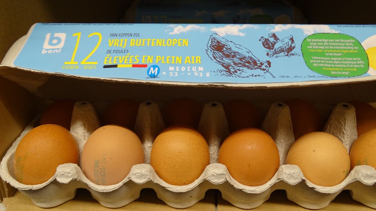 Recall van eieren na verhoogde niet-dioxineachtige PCB’s