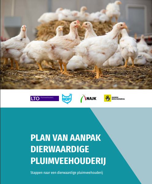 Stapsgewijs naar dierwaardige veehouderij in 2040 - Ondergraaft Nederland hiermee zijn eigen veeteeltsector?