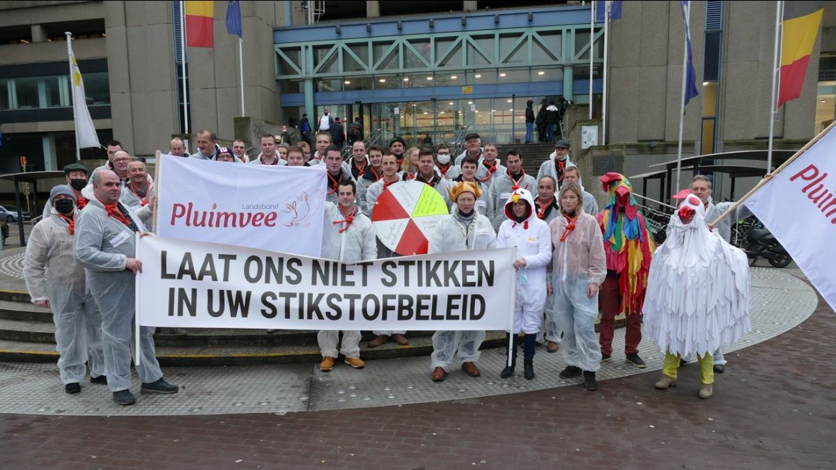 Vlaamse regering zet eerste stap richting nieuw stikstofbeleid