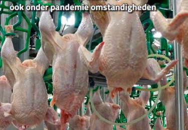 April nummer Pluimvee uitzonderlijk ook digitaal beschikbaar
