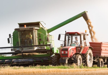 BFA waarschuwt voor verhoogde mycotoxinengehalten in granen