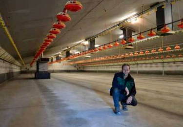 Braadkippenhouder creëert zekerheid
