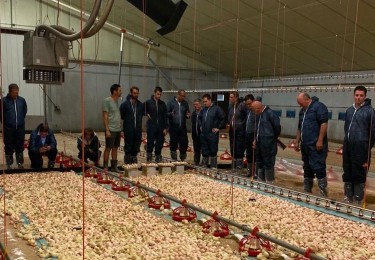Commissie landbouw en dierenwelzijn staan met hun voeten in het veld tijdens pluimveetour van de Landsbond Pluimvee	