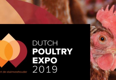 De Hardenberg Pluimveebeurs, alle sectoren ruim vertegenwoordigd op vernieuwd concept