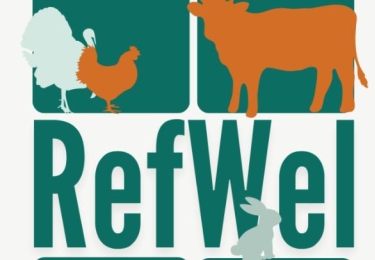 Dierenwelzijn Vlaanderen lanceert Referentiecentrum voor Welzijn van Landbouwhuisdieren 