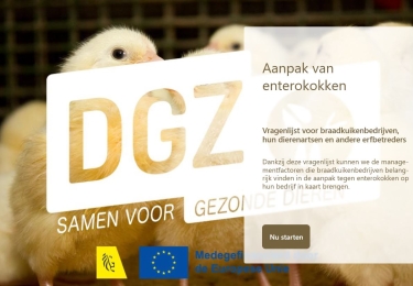Enterokokken: een uitdaging voor de sector