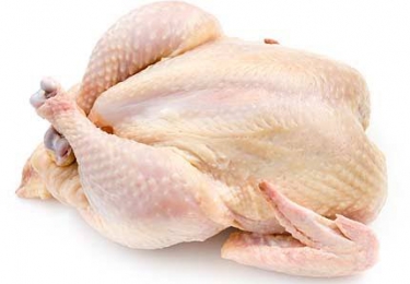 EU ontvangt à volonté Braziliaanse salmonellakippen