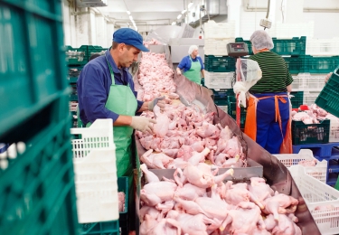 Europese Commissie plant salmonelladoorlichting Pools pluimveevlees