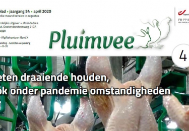 Inhoud komend APRIL nummer Pluimvee 