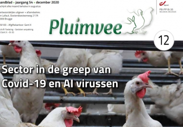 Inhoud komend DECEMBER nummer Pluimvee 