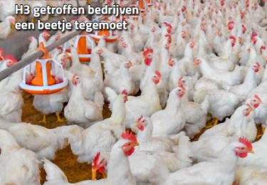 Inhoud komend  DECEMBER  nummer Pluimvee 