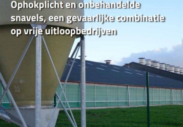 Inhoud komend FEBRUARI nummer Pluimvee