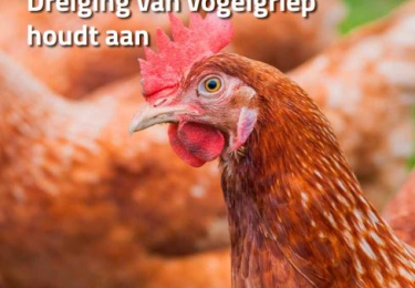 Inhoud komend FEBRUARI nummer Pluimvee 