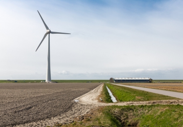 Inhoud komend  FEBRUARI  nummer Pluimvee 