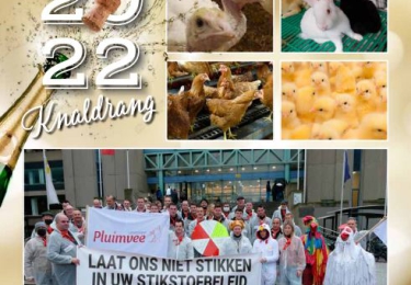 Inhoud komend  JANUARI nummer Pluimvee 