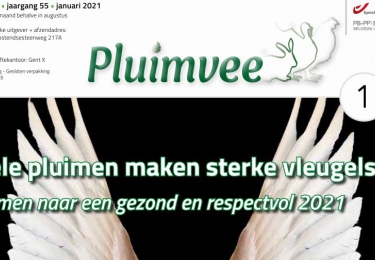 Inhoud komend  JANUARI nummer Pluimvee 