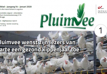Inhoud komend januarinummer Pluimvee