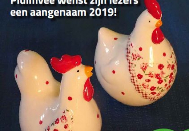 Inhoud komend  januarinummer Pluimvee