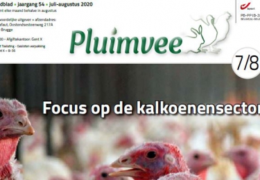 Inhoud komend juli nummer Pluimvee 