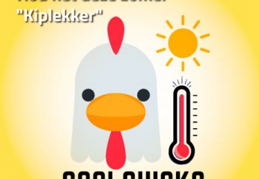 Inhoud komend  JULI nummer Pluimvee