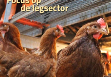 Inhoud komend  JUNI vakblad Pluimvee 