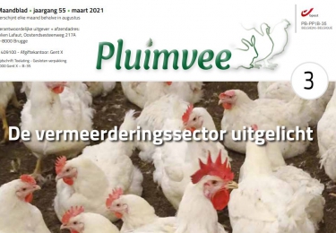 Inhoud komend  MAART nummer Pluimvee 