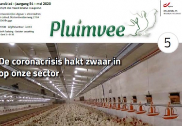Inhoud komend MEI nummer Pluimvee 