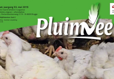Inhoud komend  MEI nummer Pluimvee 