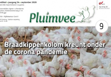 Inhoud komend  SEPTEMBER  nummer Pluimvee 