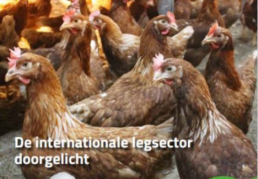 Inhoud Pluimvee, maartnummer, jaargang 53