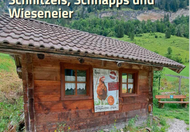 Inhoud SEPTEMBER nummer PLUIMVEE