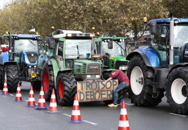Megaprotest lokt tienduizenden misnoegde boeren naar Stroe om te protesteren tegen het stikstofbeleid