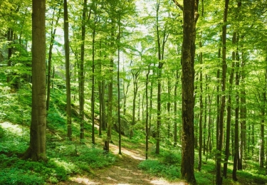 Nederlandse minderheidsregering pompt 20 miljard euro in stikstofaanpak op basis van doelsturing