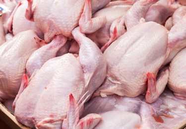Nieuw handelsakkoord Oekraïne houdt rekening met gevoelige producten zoals pluimveevlees en eieren