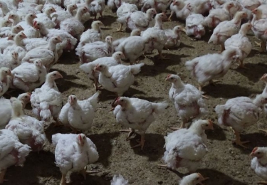 Nut van snel sturen van de productie nogmaals bewezen tijdens coronacrisis