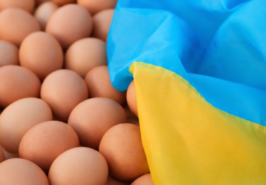 (+) Oekraïense eierexport neemt met bijna 70% toe