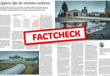 Onjuiste berichtgeving over “kippenrush” zet pluimveesector onterecht in een slecht daglicht